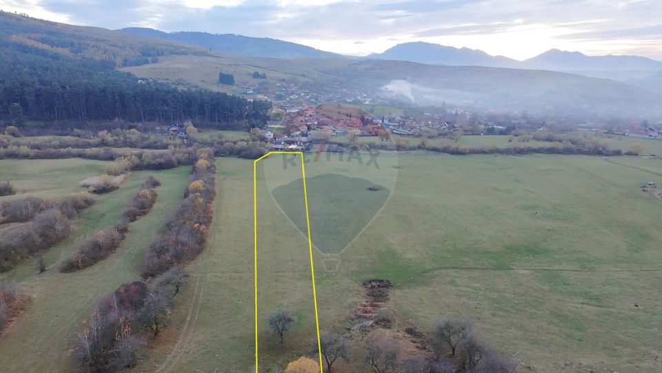 Teren 5.800 mp Purcareni curent, gaz, apă / Strada 30 decembrie