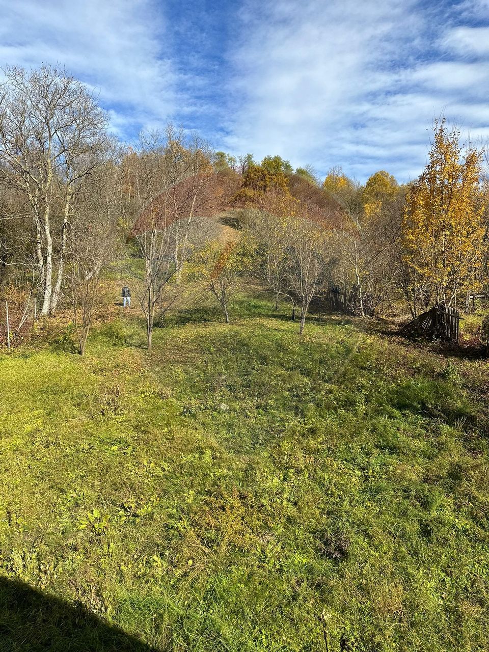 Casă / Vilă la gri in Pangarati Neamt