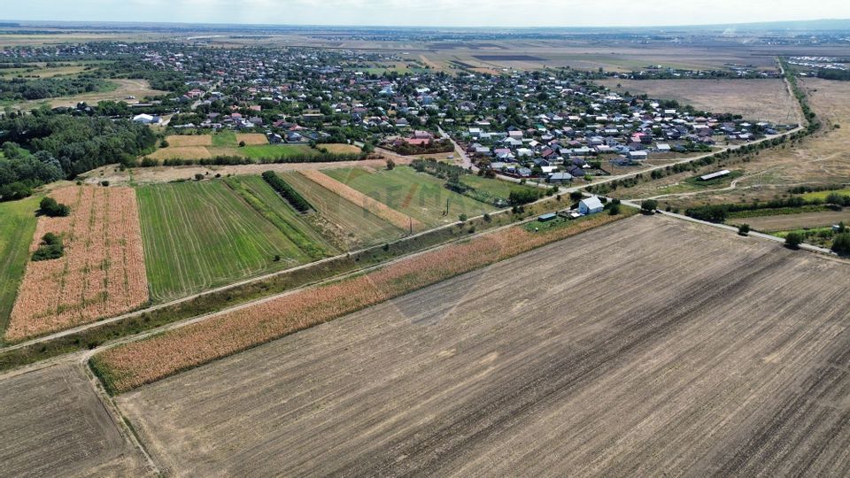 Teren 5,000mp Vanatori