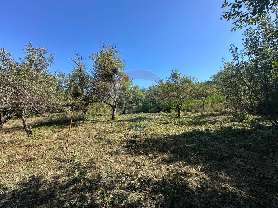 Land 4,101sqm Coruia / Strada Viilor