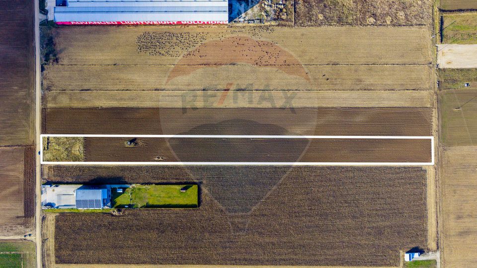 Land 25,000sqm Ghimbav / Strada Sanzienei