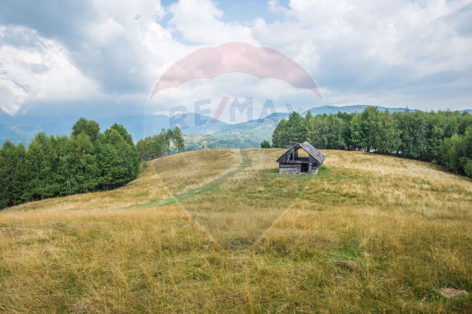 Teren extravilan Moieciu 45316mp