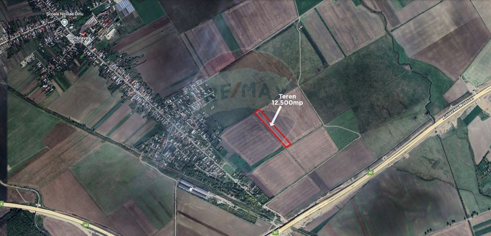 Land 12,500sqm Dumbrava / Strada zanoaga