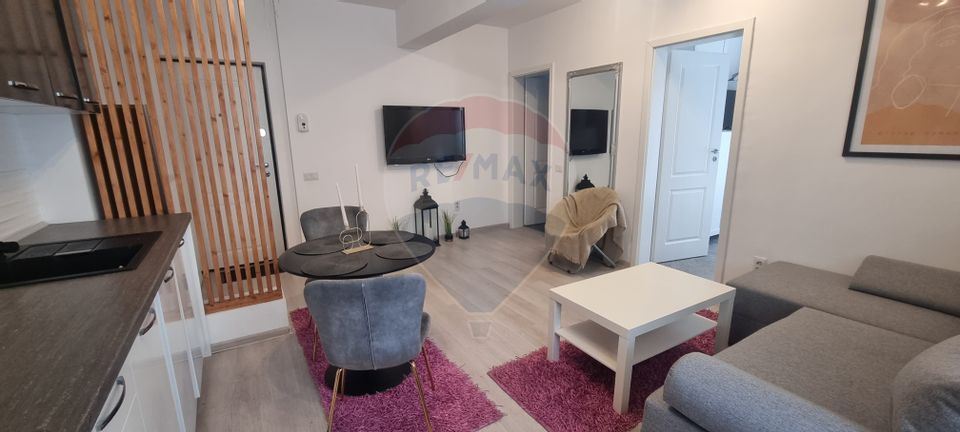 Studio/2 camere cu curte si loc de parcare Strada Biruintei