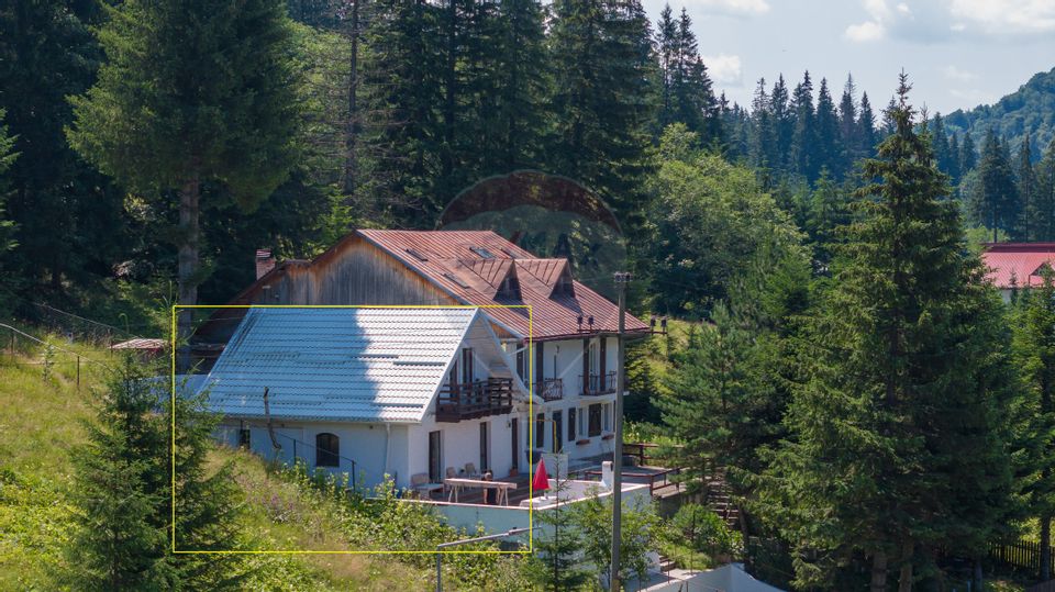 3 room House / Villa for sale, Malul Ursului area