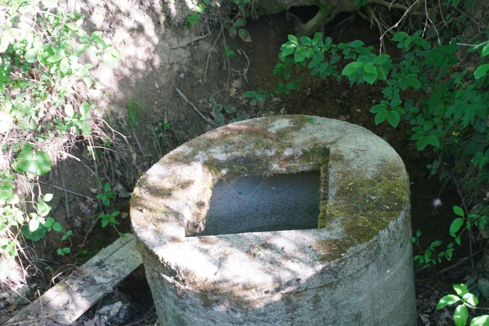 Land 38,592sqm Sighetu Marmatiei / Strada Mocăniței