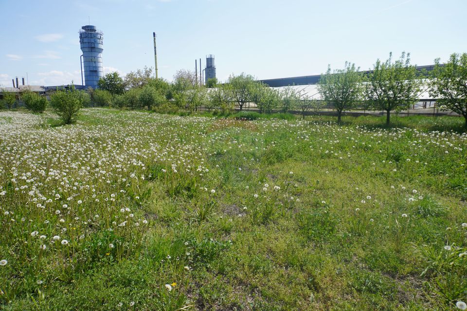 Teren 4,076mp Sarasau