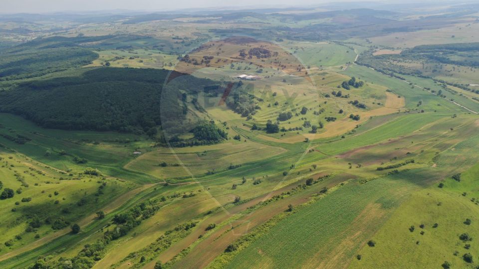 INVESTITIE REZILIENTA 300 HA Teren de vanzare in Zlagna Sibiu