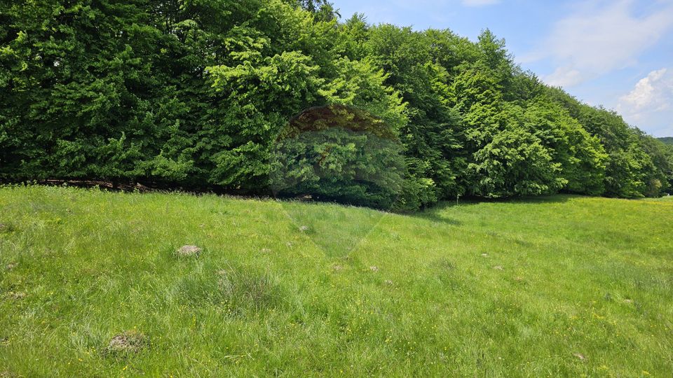 Teren Ilisesti  7000mp extravilan/ DN 17, Suceava