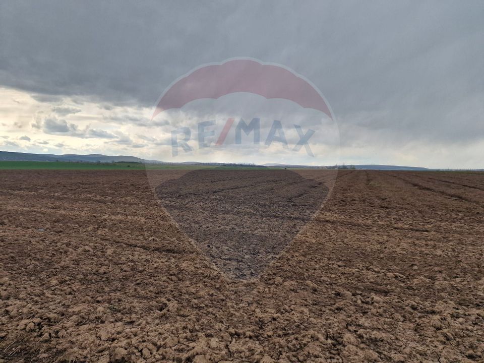Teren 10,000mp Bacau / Strada Alexandru Safran