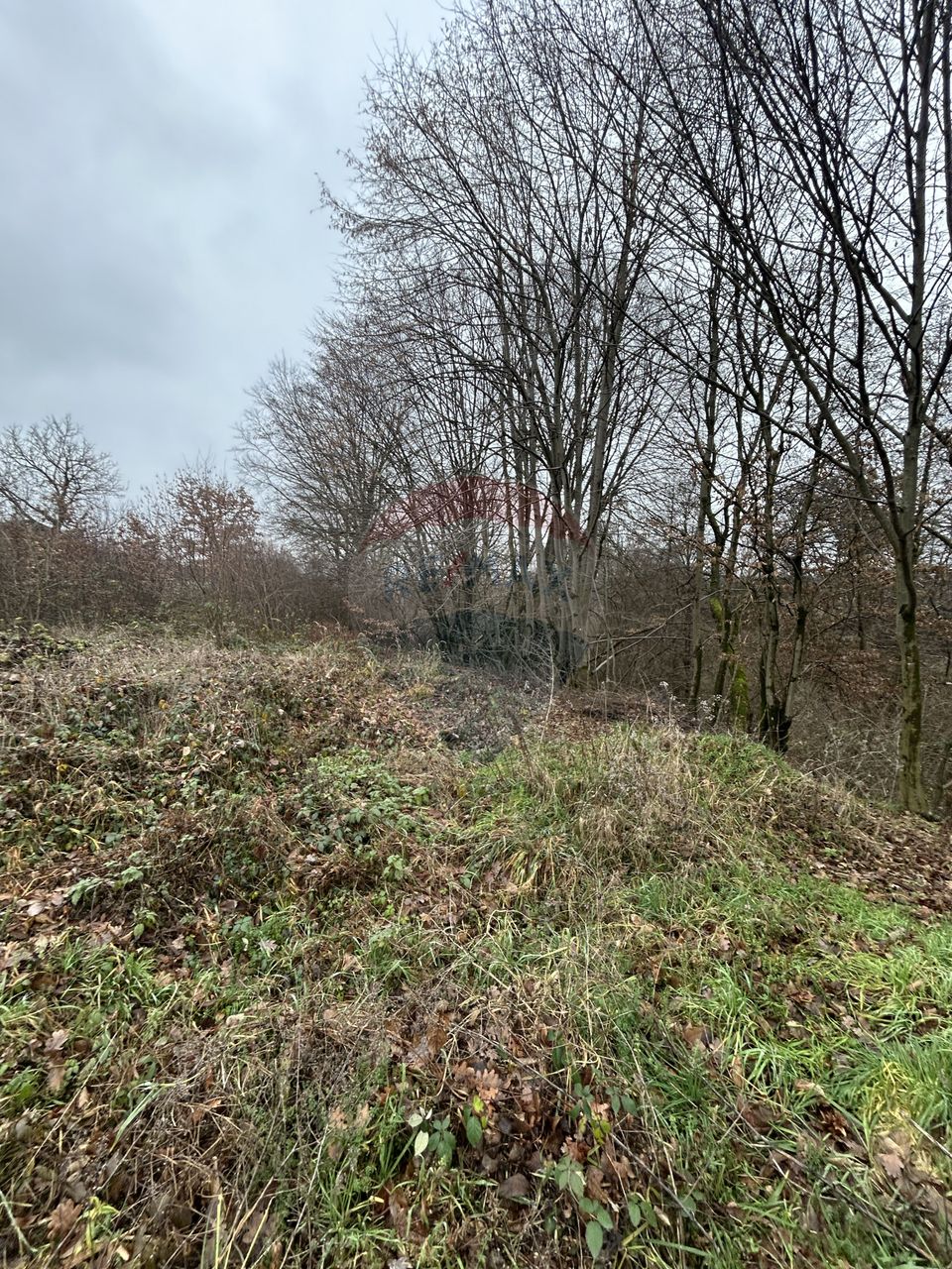 Teren 1,200mp si 400m2 cota drum Satu Nou de Jos / Strada Principala