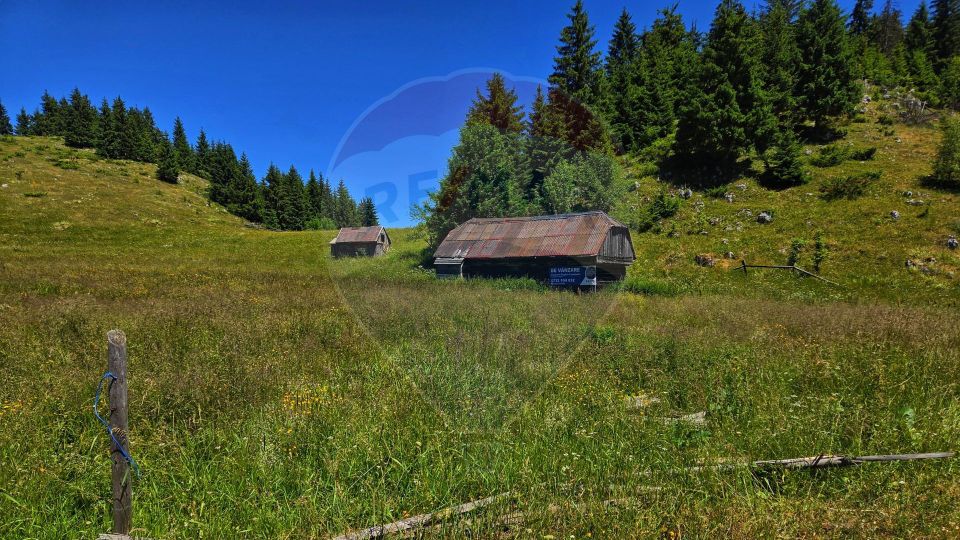 Teren de 7830mp de vanzare in Fundata! Comision 0%