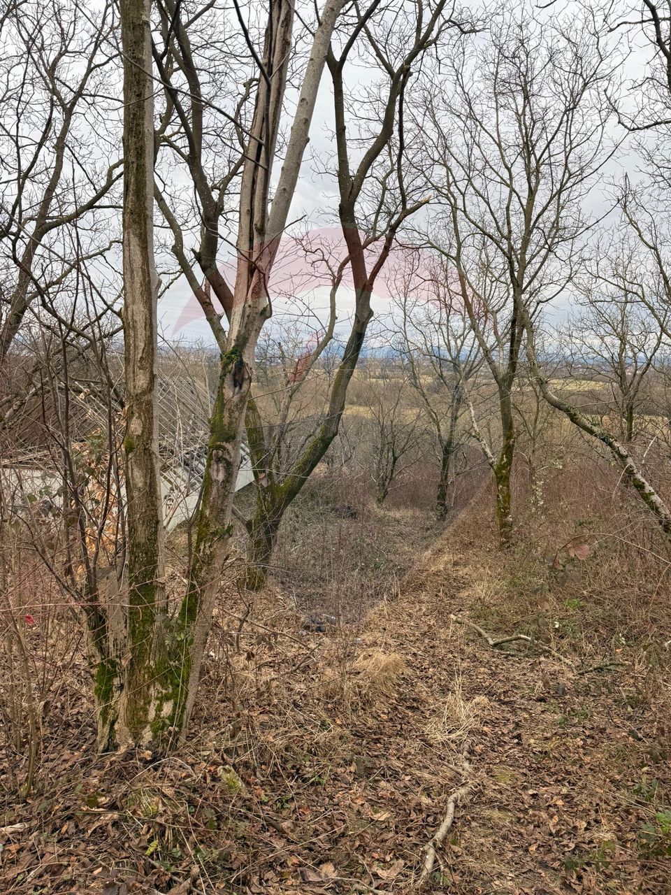 DE VANZARE Teren Strada Victoriei Baia Mare