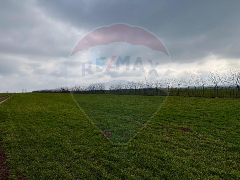 Teren extravilan Săcele ideal pentru silozuri, fermă sau investiție