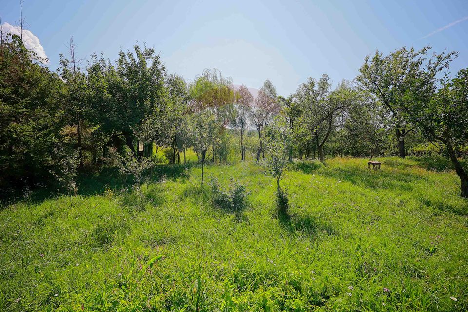 De vânzare Casǎ de Vacanțǎ cu 3 camere, teren 1146 mp, Budureasa