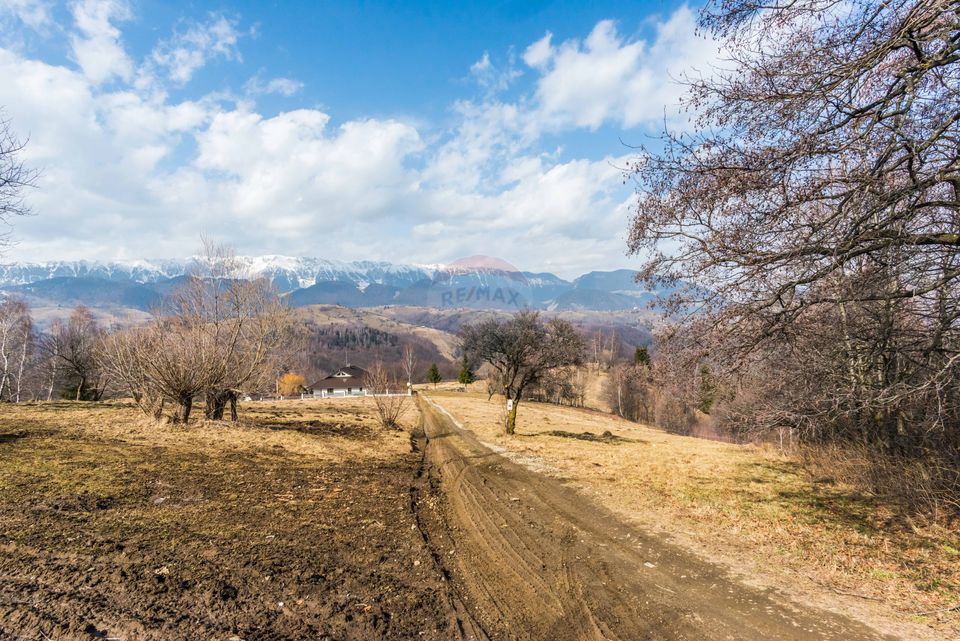 Comision 0%! Teren Moieciu de Jos 1500 mp