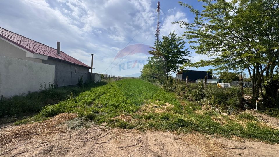 Teren Intravilan, de vanzare, Valea Dacilor, Medgidia