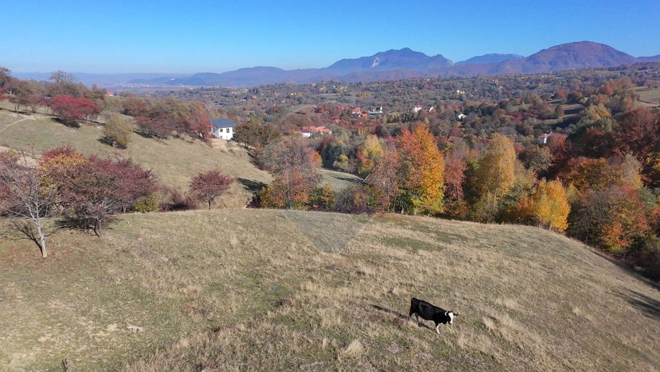 Land 3,500sqm Bran / Strada Bradul Inalt