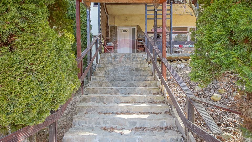 Investiție: Pensiune + Casă lemn, priveliște superbă, 0% Comision