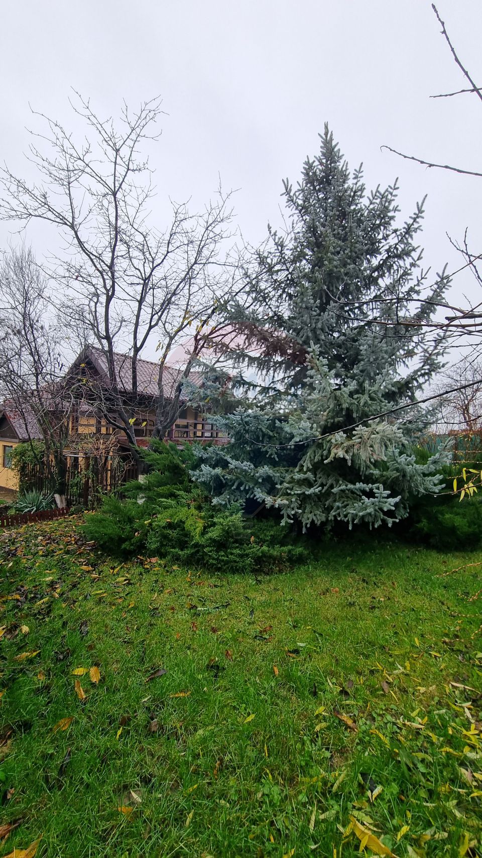 Casă / Vilă de vanzare Belciugatele str. VIILOR