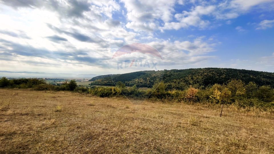 Loturi pentru case de locuit sau de vacanță, Lacul Pădureni, Moacșa