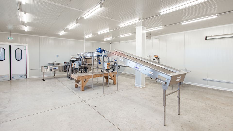 BUSINESS DE VANZARE Plantatie de afin din Romania