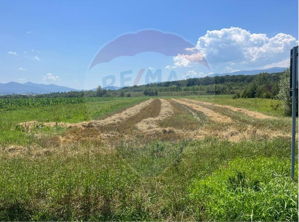 Land 24,000sqm Selimbar / DN Fara Nume