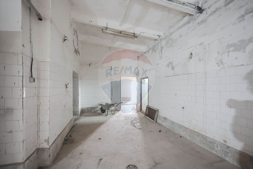 Teren 7500mp și construcții de vânzare, Tilecuș