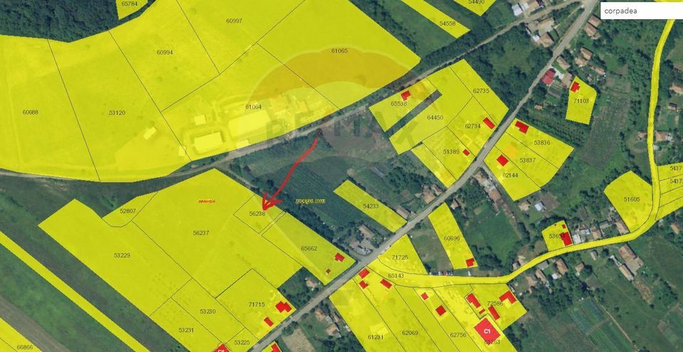 Teren de vanzare in Corpadea! 1000 MP