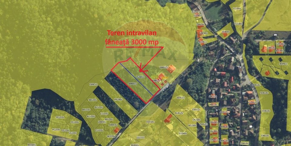 Teren intravilan, 3000 mp, Dâmbu Morii