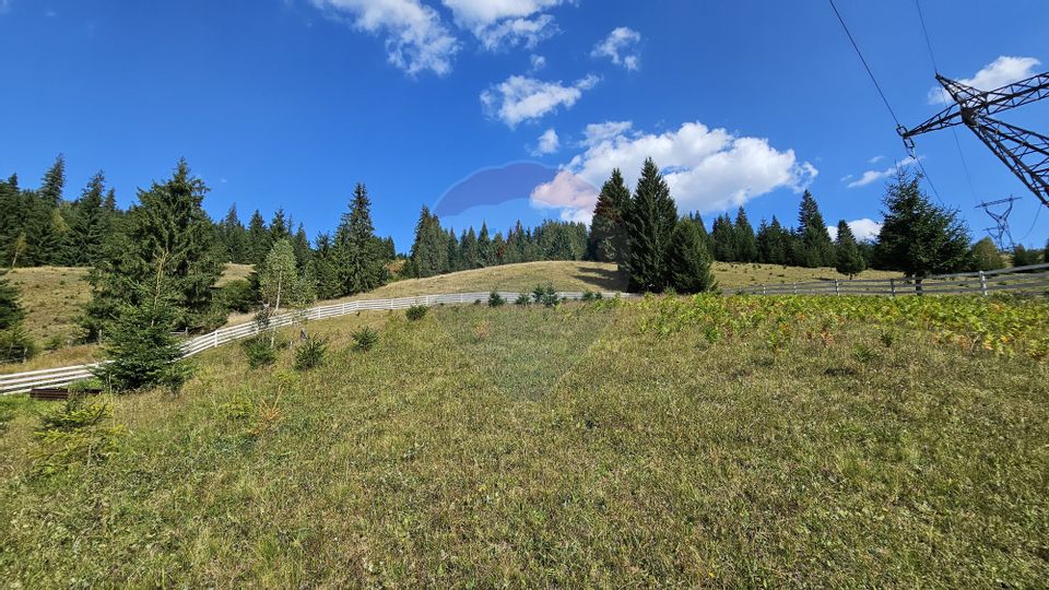 Casă / Vilă de vacanta in Dorna Arini, Suceava