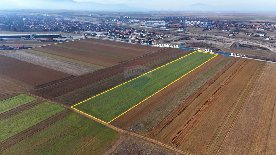 Teren extravilan | 14,600mp | Tărlungeni