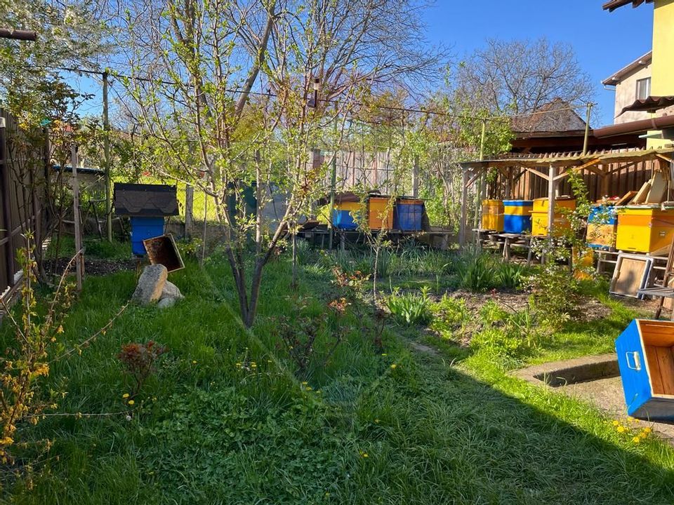 Casă cu 2 camere în zona Dambul Rotund