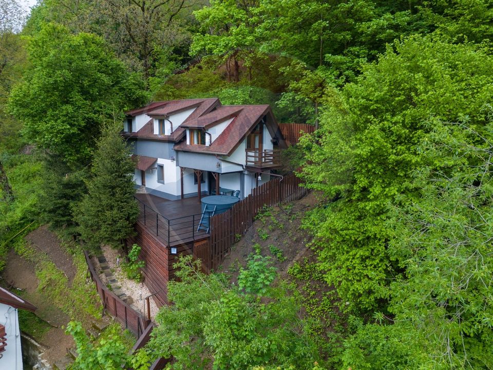 OPORTUNITATE INVESTITIE CU POTENTIAL TURISTIC, Centrul Istoric!