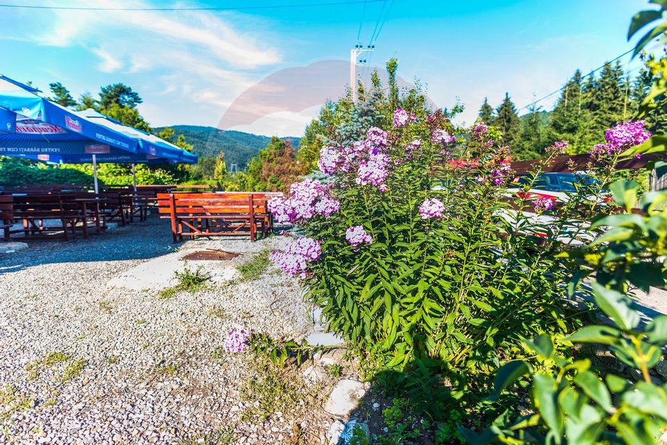 Afacere la cheie! Pensiune-restaurant-săli evenimente Brașov-Brădet