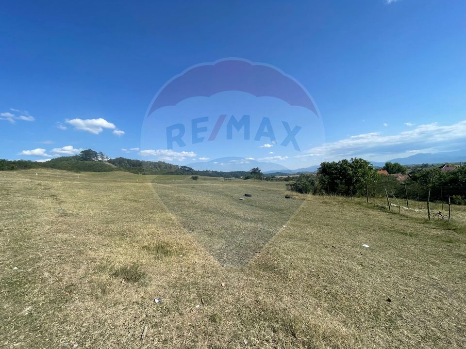 Land 36,000sqm Araci / Strada Principala