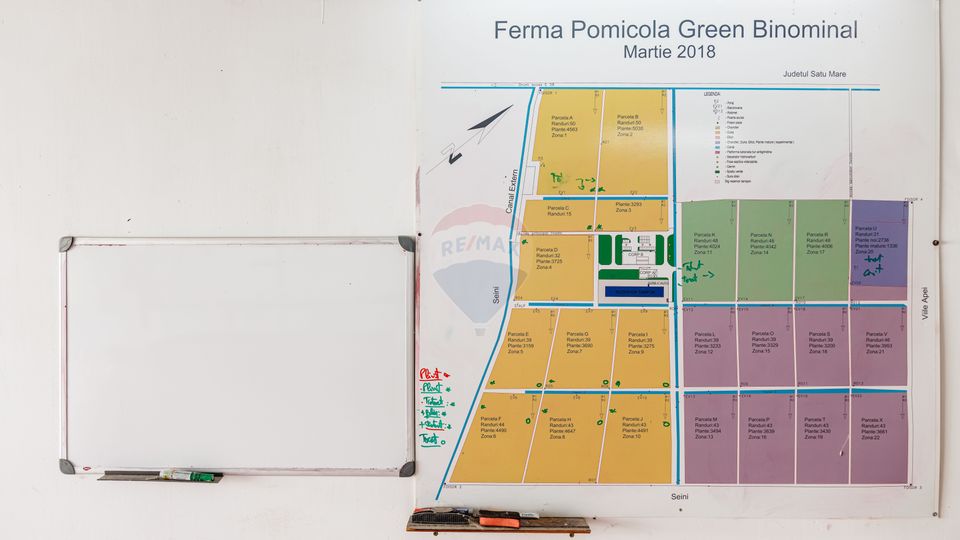 Land 27,720sqm Seini / Drumul E 58