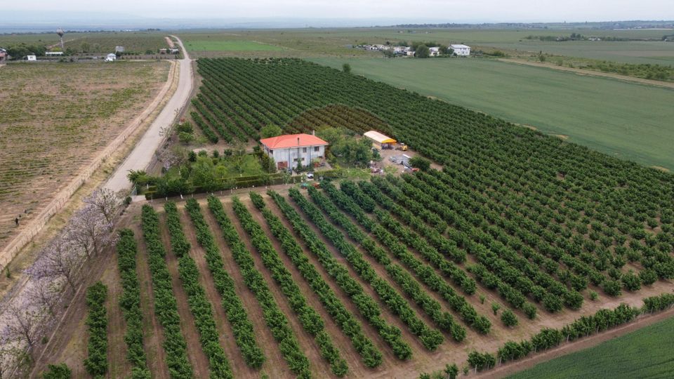 6 room House / Villa for sale