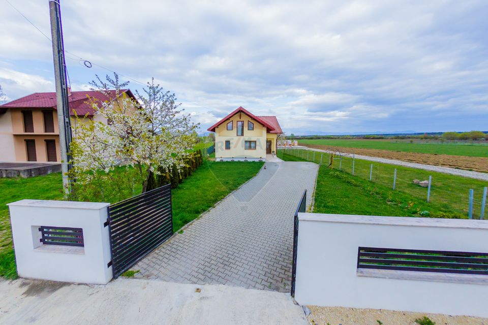 CASA DE VIS DE VANZARE IN COLTIREA