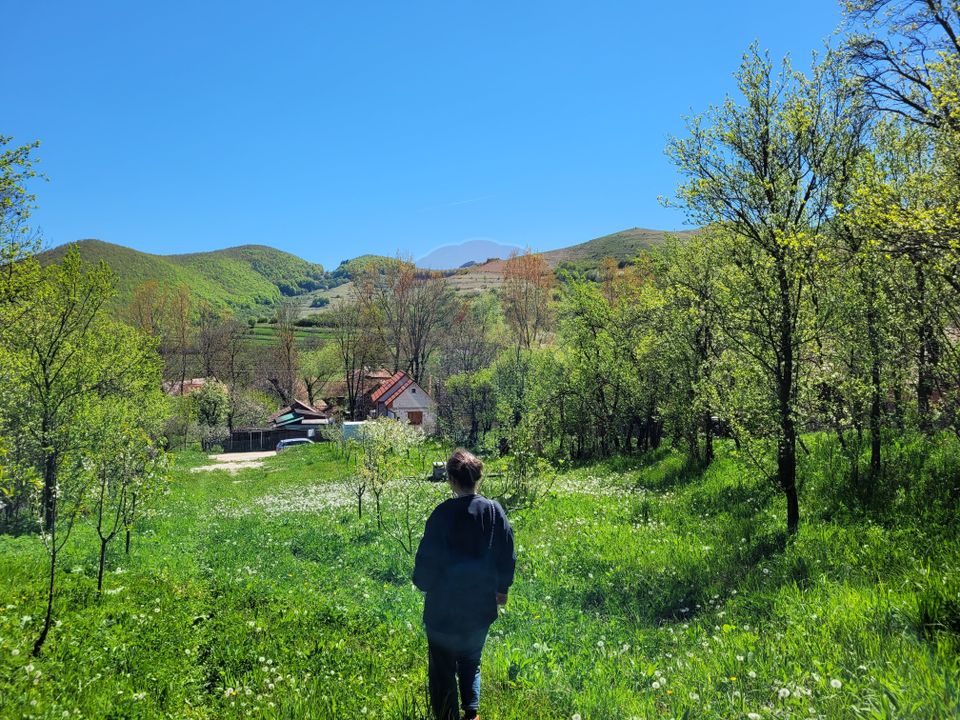 Teren intravilan 1.271 mp – Izvoarele, jud. Alba