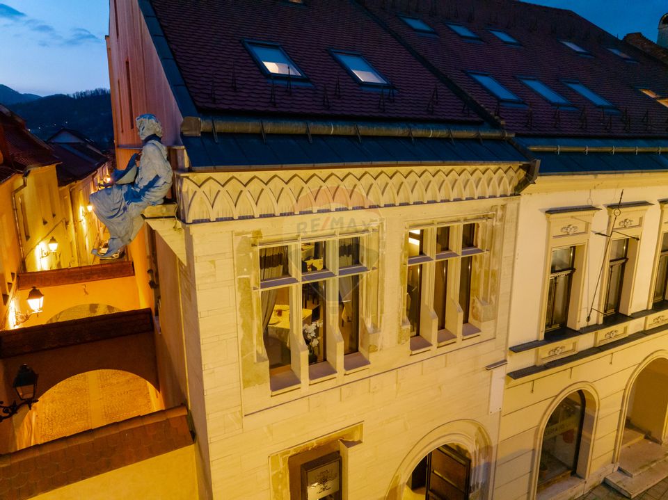 11 room Hotel / Pension for sale, Ultracentral area