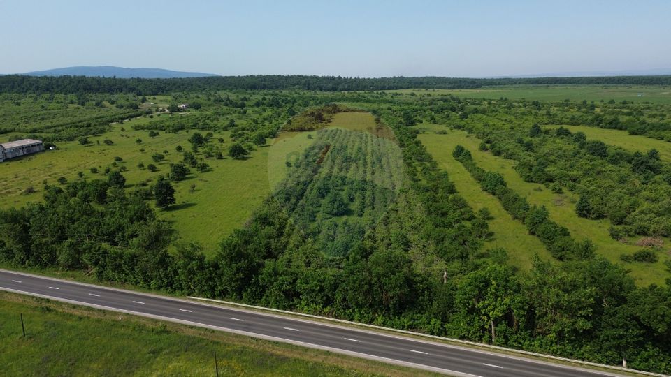 Teren Intravilan de Vanzare la Drum European