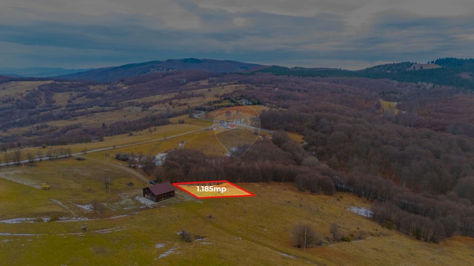 Teren 1,185 mp Teliu / Extravilan