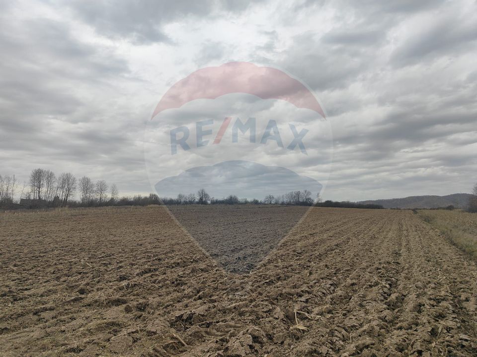 Land 11,900sqm Fardea / Drumul principal