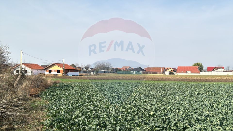 Teren intravilan de vânzare, 11.600 mp – Tărian, Girișul de Criș