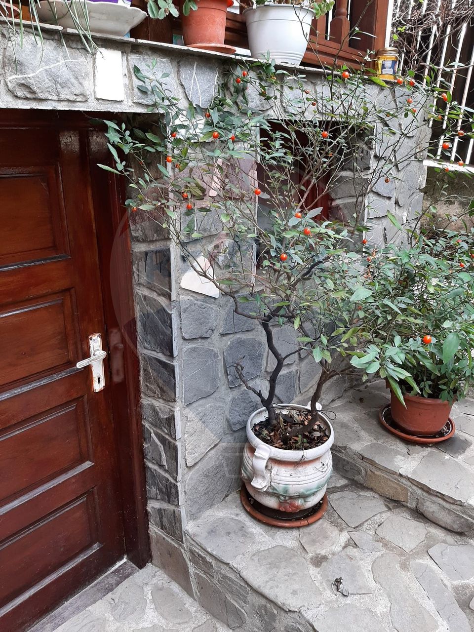 Vanzare casa Provita de Jos Prahova