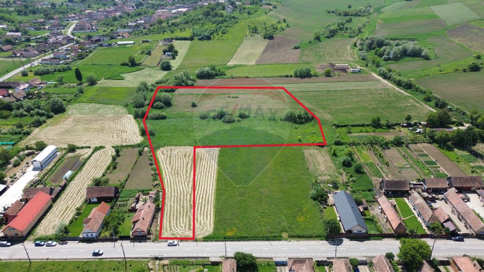 Teren de vânzare – Blăjel, jud. Sibiu | 15.360 mp - partial intravilan