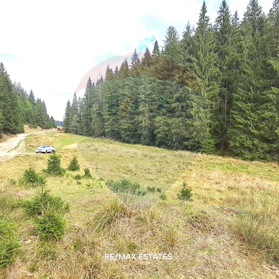 Land 500sqm Poiana Brasov / Strada Valea Sticlariei