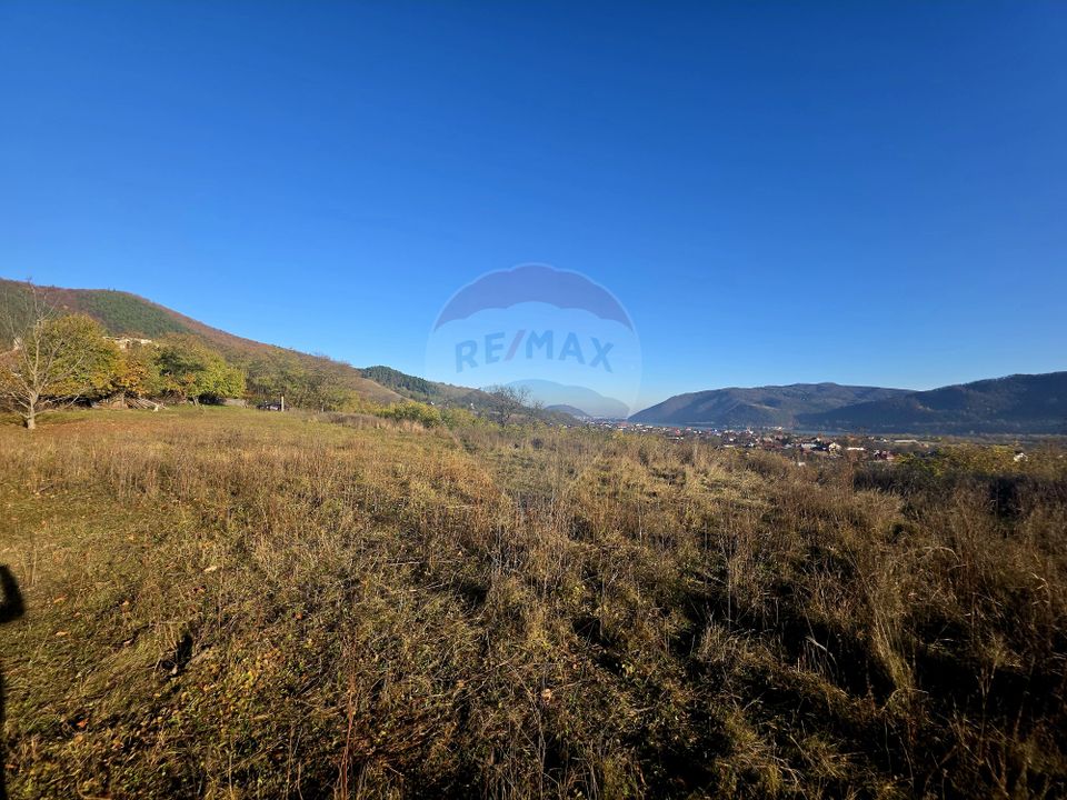 Land 6,874sqm Alexandru cel Bun / Strada plopusor