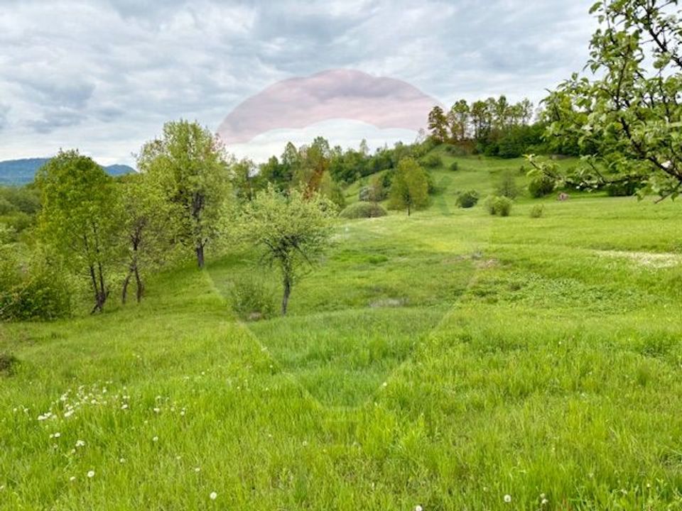 Land 20,876sqm Breb / Drumul Principal